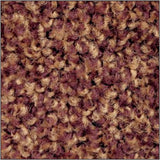 Golden Brown Colorstar Static Dissipative Indoor Mat